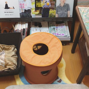 6月後半から7月初旬のあおいとり