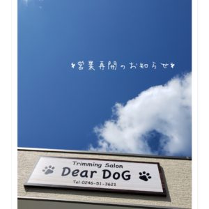 *明日より営業再開致します*