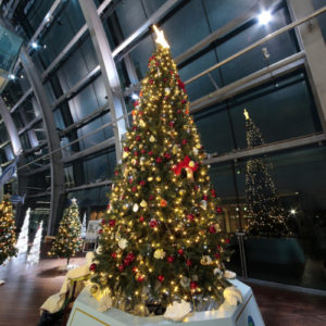 アクアマリンクリスマス