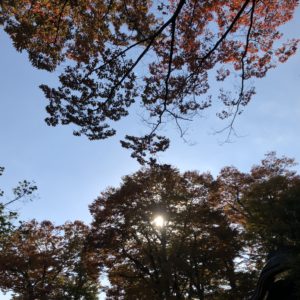 サロン移転します