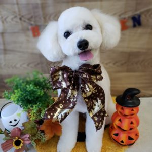 ☆10月のハロウィンお写真☆