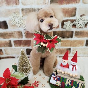 ☆12月の定休日のお知らせ☆