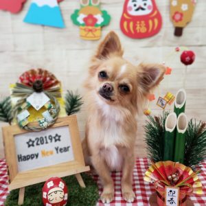 ☆本年はありがとうございました☆