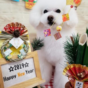 ☆1月の定休日のお知らせ☆