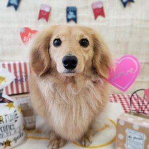 ☆3月の定休日のお知らせ☆