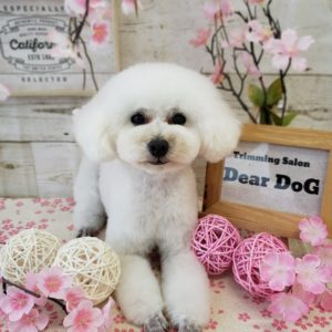 ☆4月の定休日のお知らせ☆彡
