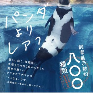 2019/4/27(土)〜5/6(月・振休)　アクアマリンふくしまGWイベント