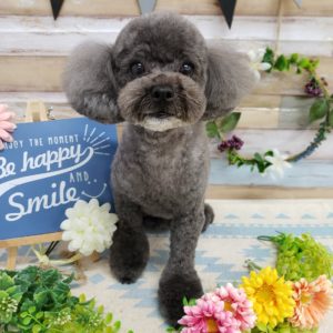 ☆6月の定休日のお知らせ☆