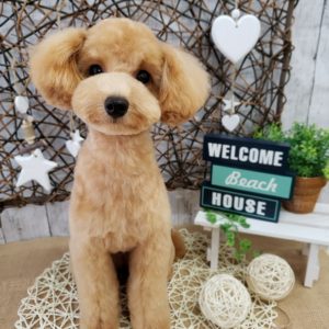 ☆8月の定休日のお知らせ☆