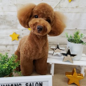 ☆9月の定休日のお知らせ☆