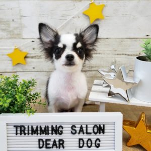 ☆10月の定休日のお知らせ☆