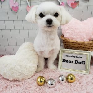 ☆3月の定休日のお知らせ☆