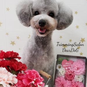 ☆5月の定休日のお知らせ☆