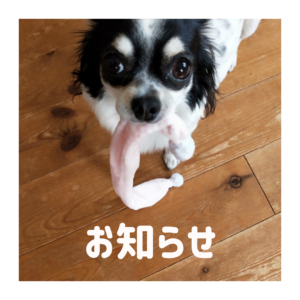 臨時休業延長のお知らせ