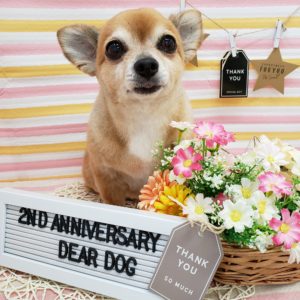 ☆7月の定休日のお知らせ☆