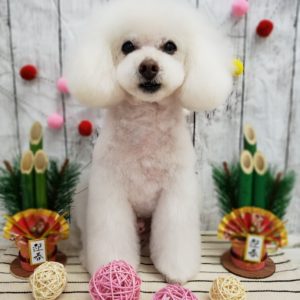 ☆明けましておめでとうございます☆
