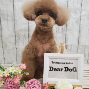 ★☆お知らせ☆★