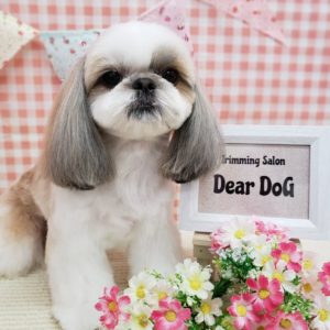 ☆4月の定休日のお知らせ☆