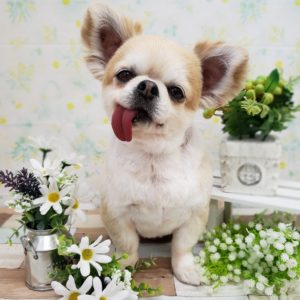 ☆5月の定休日のお知らせ☆