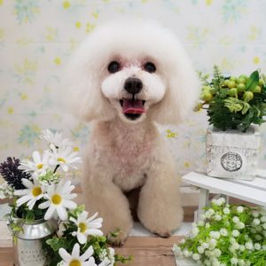 ☆6月の定休日のお知らせ☆