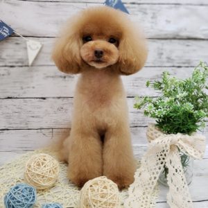 ☆8月の定休日のお知らせ☆
