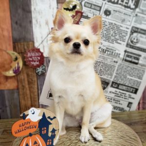 ☆10月の定休日のお知らせ☆