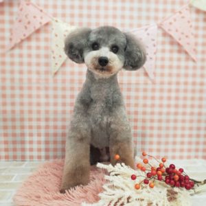 ☆2月の定休日のお知らせ☆