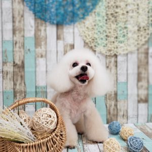 ☆6月の定休日のお知らせ☆