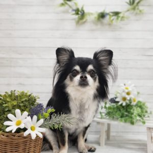 ☆7月の定休日のお知らせ☆