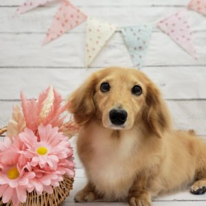 ☆2月の定休日のお知らせ☆
