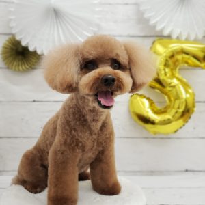 ☆5年目を迎えさせて頂きました☆