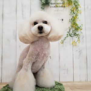 ☆5月の定休日のお知らせ☆