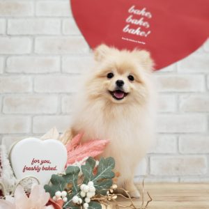 ☆2月の定休日のお知らせ☆