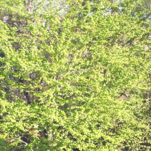 ４月後半セミナー🌿✨✨