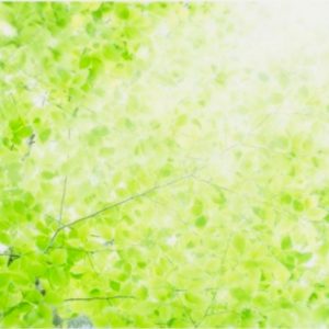 ５月のメッセージとお知らせ🌿
