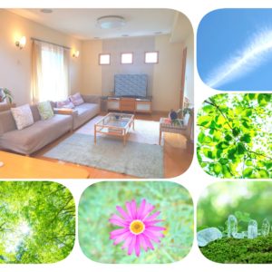 ５月１１日・１３日『癒しのおはなし会』のご案内✧˖°