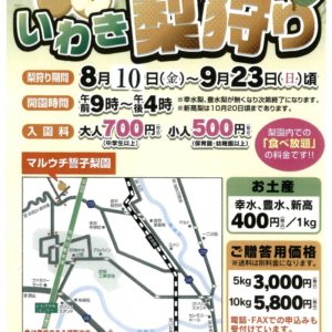 H30/8/10(金)~9/23(日)頃”いわき梨狩り”