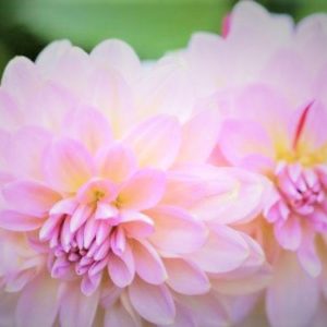実りの秋へと向かう９月★セミナースケジュール