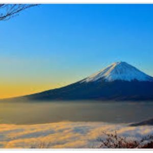 謹賀新年🌅