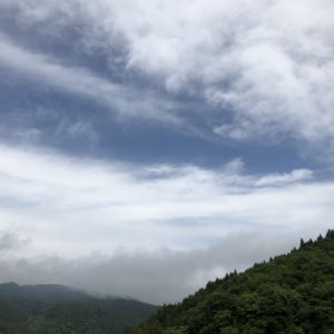 今からがオススメのよもぎ蒸し