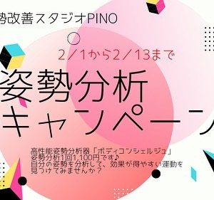 2月のキャンペーンは期間により変わるよ♪