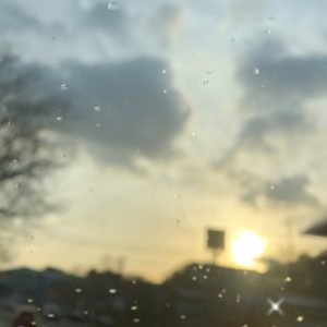 お試しの感想