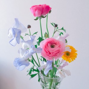 ２月末から３月前半のあおいとり