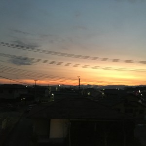 近々のあおいとり
