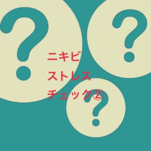 ニキビストレスチェック②