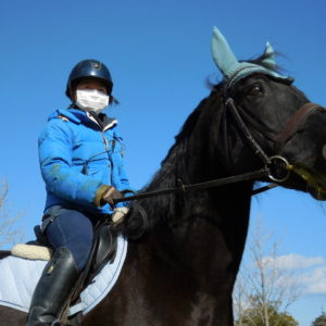 ひき馬プレオープン、無事終了しました♪