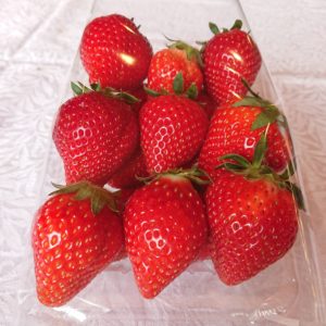 パックいちご値下げのお知らせ