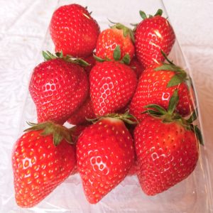 パック詰めいちご販売のご案内♪
