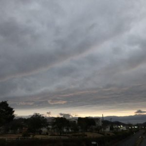 ヘルニア持ってます
