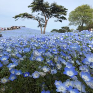 メールのお問い合わせについて
